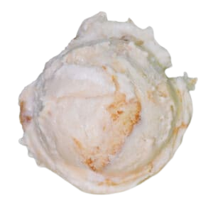 Banana Cream Pie