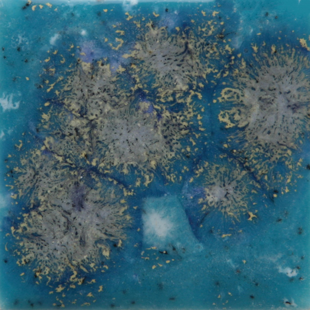 s-2711 Tahiti Grape